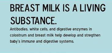 breastmilk contains hormones and antibodies